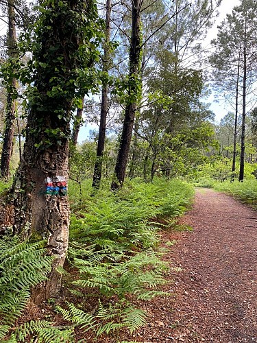 sentier-balise-messanges