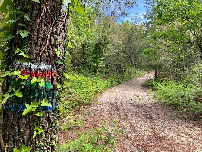 sentier-balise-messanges-rando-pedestre