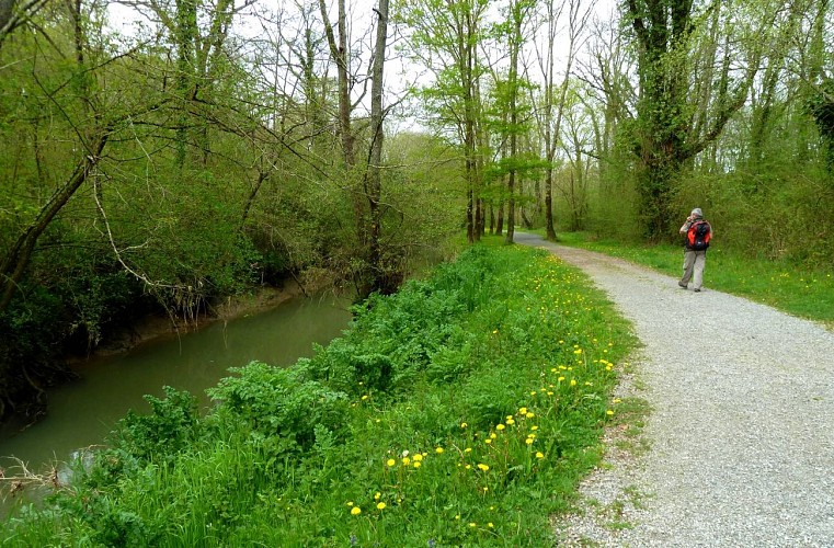 Le sentier au bord du cours d'eau