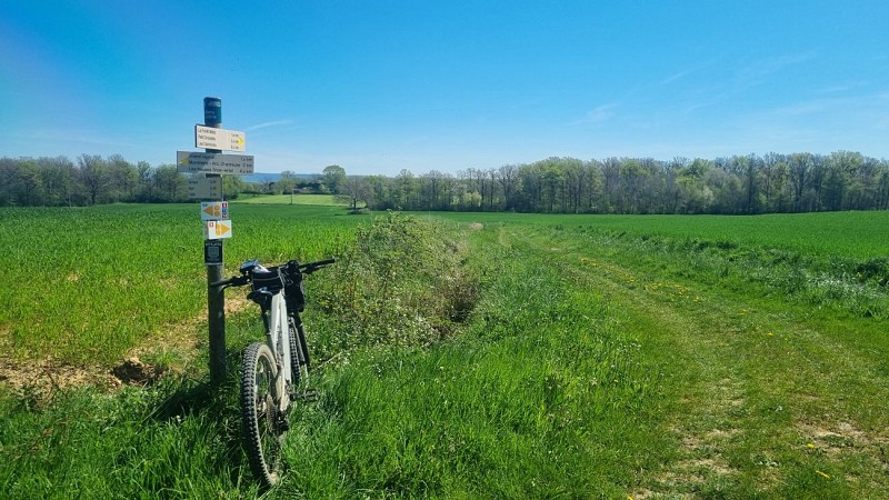 Circuit Gravel n°5 (rouge) - De la Bresse des lacs à l'étang Pontremble_Montrevel-en-Bresse