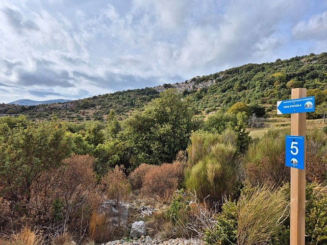 Promenade "Parcours découverte du patrimoine Monsois" - Mons_Mons