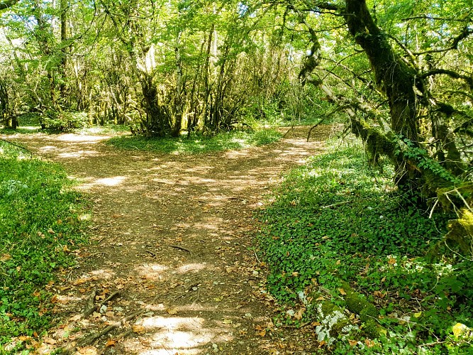Circuit VTT n°17 (rouge) Roches de Cuiron - Mont July_Ceyzériat