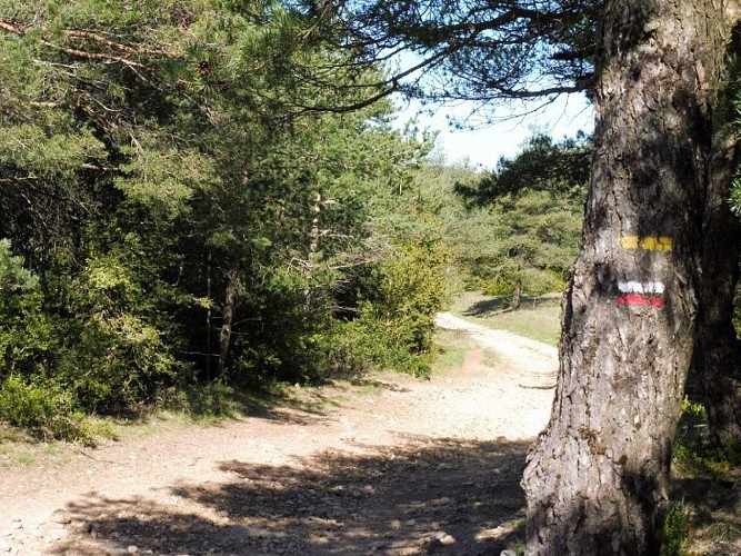 Entre la Couvertoirade et la Salvetat