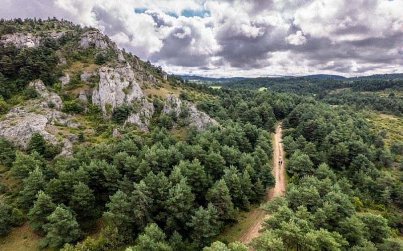 Sur le plateau du Larzac