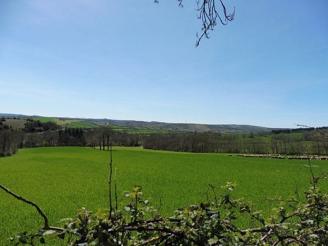 Sur le GR après L'Hospitalet du Larzac
