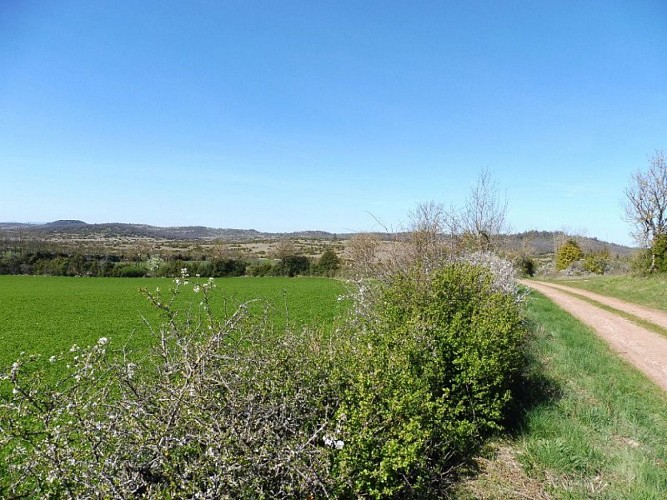 En arrivant au Viala du Pas de Jaux