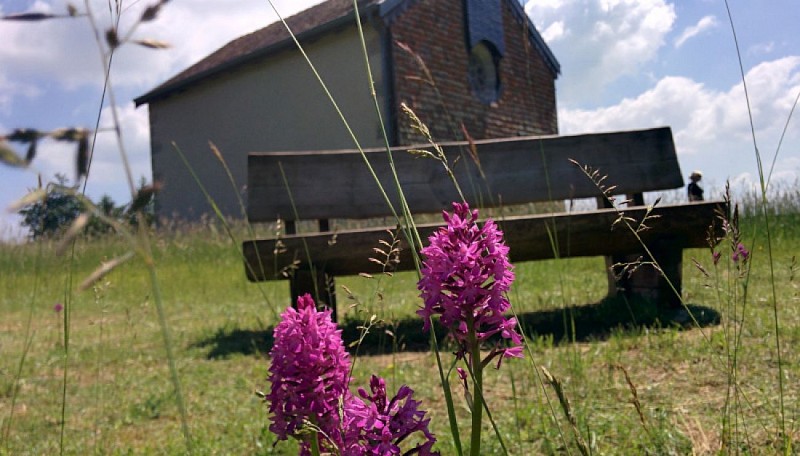 Balade ludique randoland - découvrez la Meuse à vélo de Domremy-la-Pucelle à Maxey-sur-Meuse