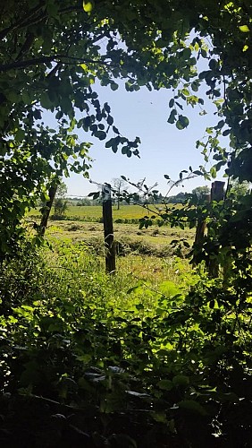 La fontaine de la Mélarbière