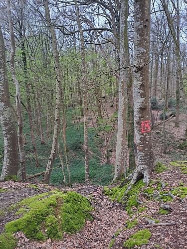 La fontaine de la Mélarbière