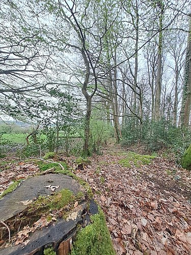 La fontaine de la Mélarbière