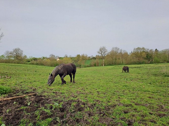 La fontaine de la Mélarbière