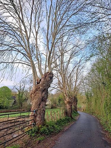 La fontaine de la Mélarbière