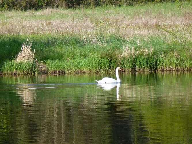 Promenade du Normandie
