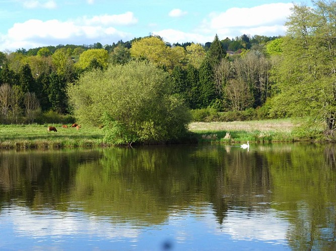 Promenade du Normandie_3
