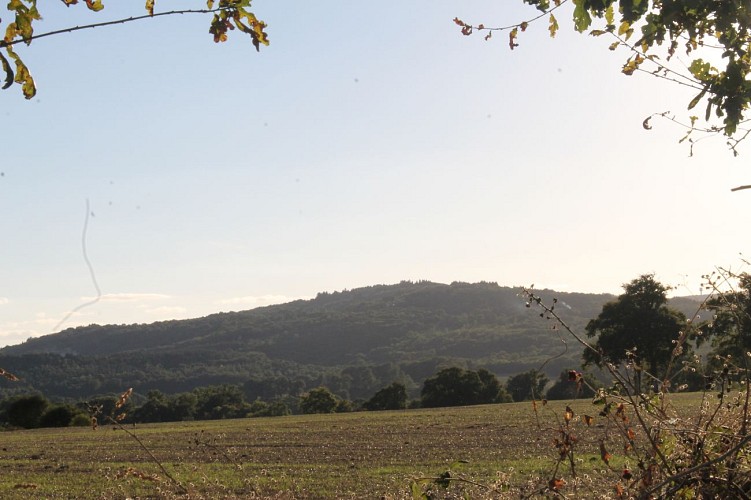 Sentier du bois des fées