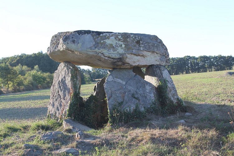 Sentier du bois des fées