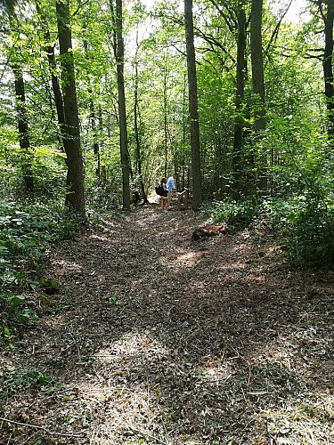 promeneur et utilisateur de Forest Fun