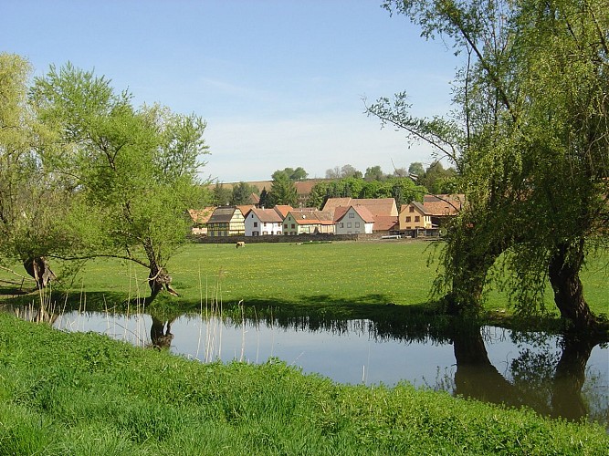 Vue sur le village d'Ernolsheim-Bruche
