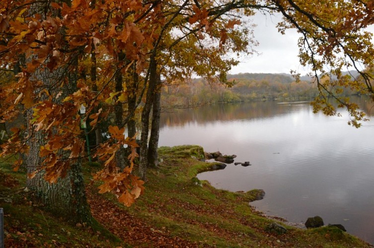 Boucle locale N°53 Masgot, village sculpté et l’église décorée de Sous Parsat