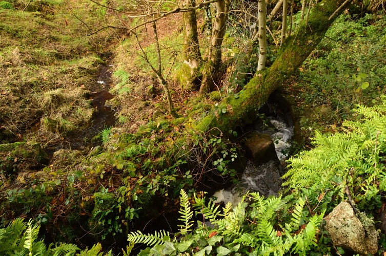 Boucle locale N°53 Masgot, village sculpté et l’église décorée de Sous Parsat
