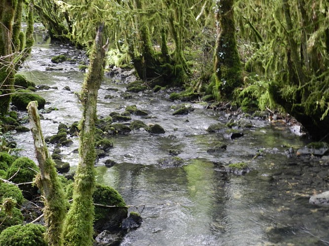 Balade Le ruisseau de Noire Fontaine