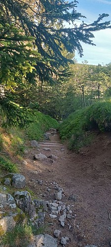 Boucle depuis Le Hohneck