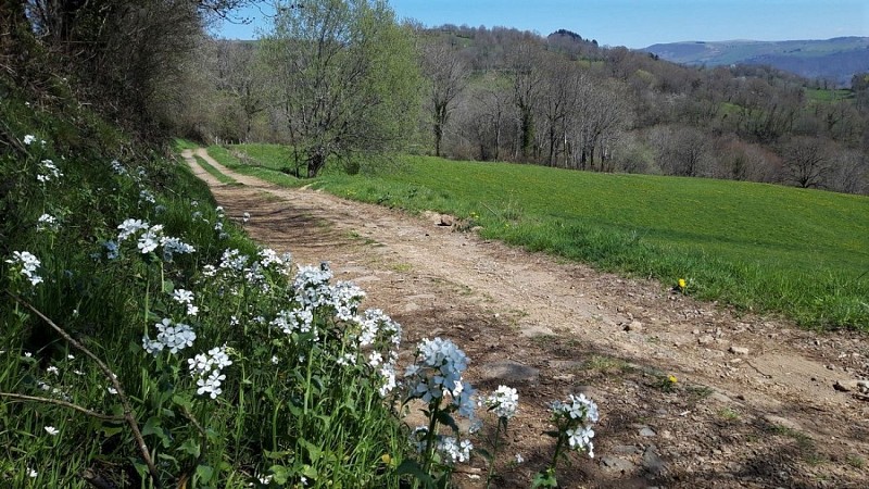 Autour du Donjon à Polminhac