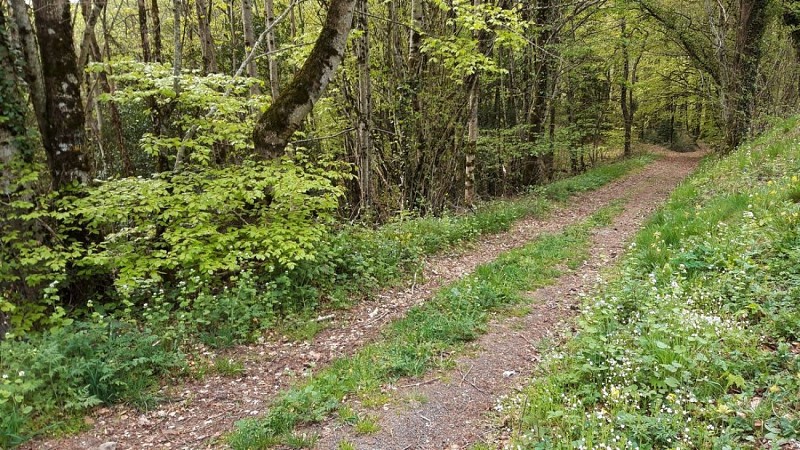 Autour du Donjon à Polminhac