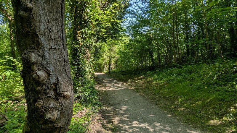 Portion de la rampe Saint-Just