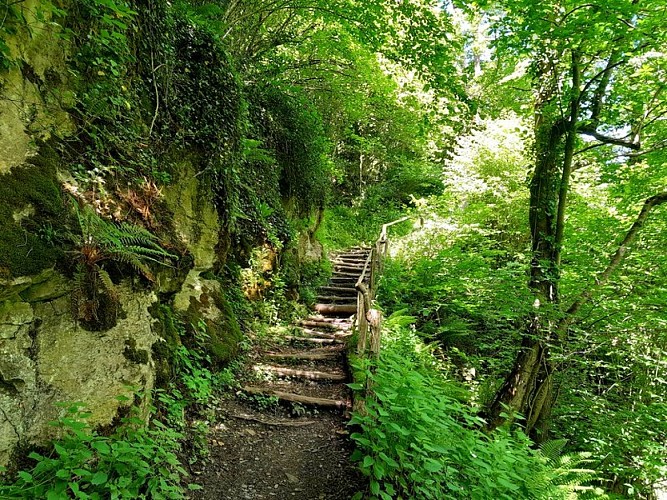 La montée vers les Granges de Soupère