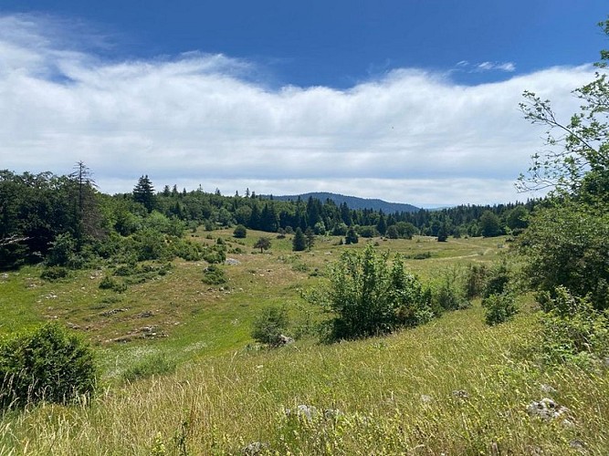 Vue depuis le Pas du pré
