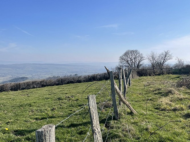 Balades Vertes,Mary : verger conservatoire