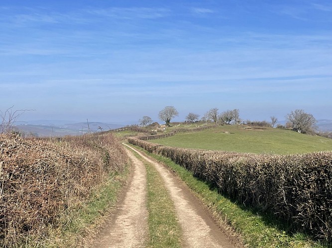 Balades Vertes,Mary : verger conservatoire