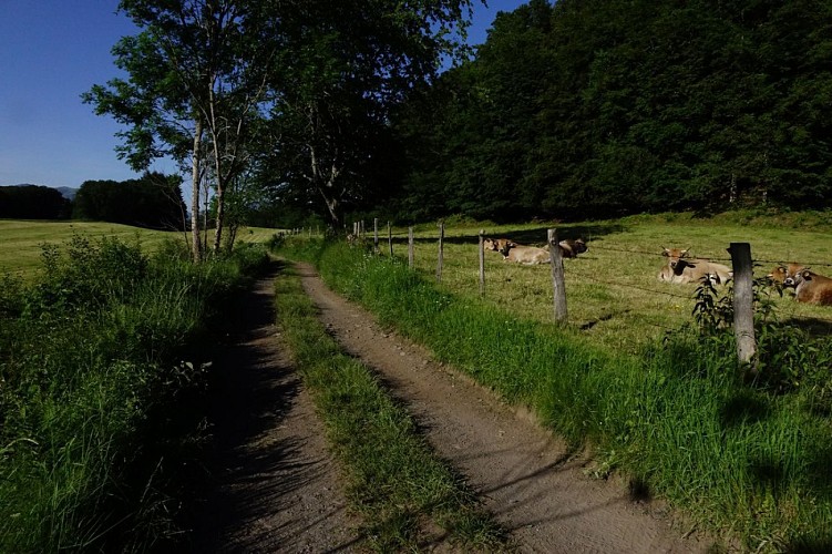 La Balade de Vixouze à Polminhac