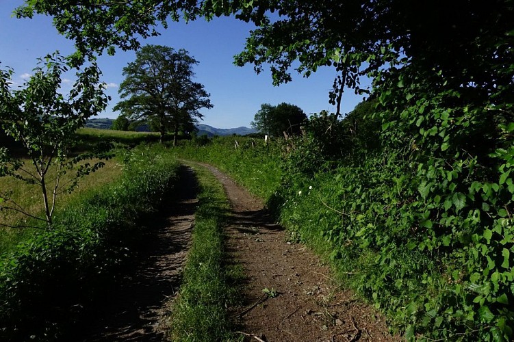 La Balade de Vixouze à Polminhac