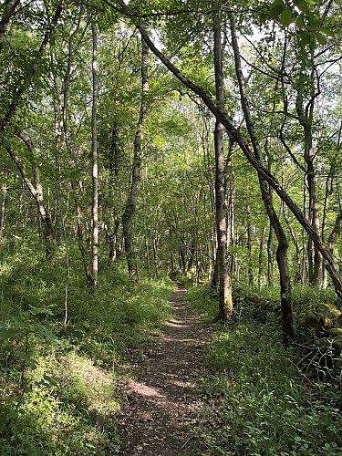 En direction du gouffre de Lespugue