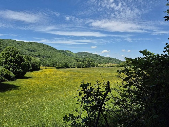 Petite fenêtre printanière