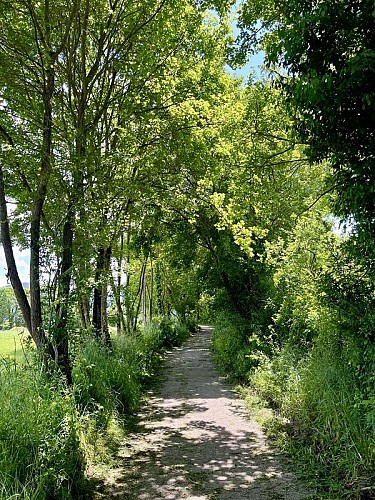 En route vers Valcabrère