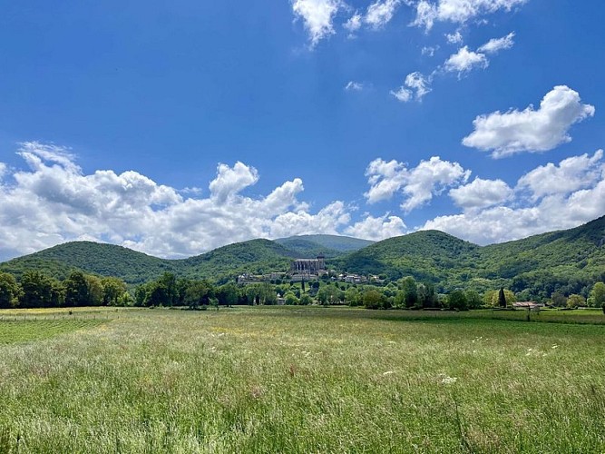 Vue sur la cathédrale Sainte-Marie