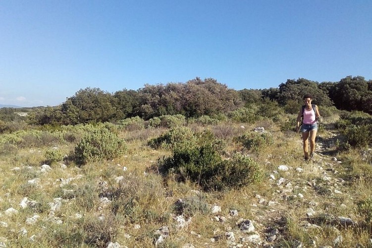 Sur les crêtes du Quillot