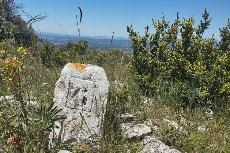 Borne sculptée le long du sentier sur les crêtes