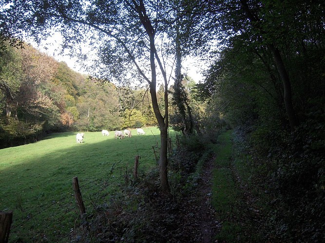 Chemin de la Fontaine Sucrée