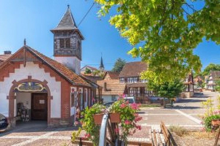 Circuit à vélo : richesses de la terre, traditions et artisanat