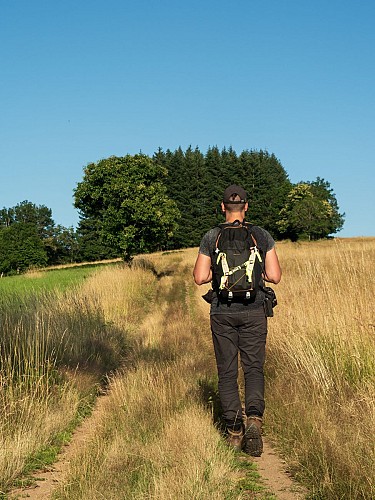 Le puy du Roc - PR n°23