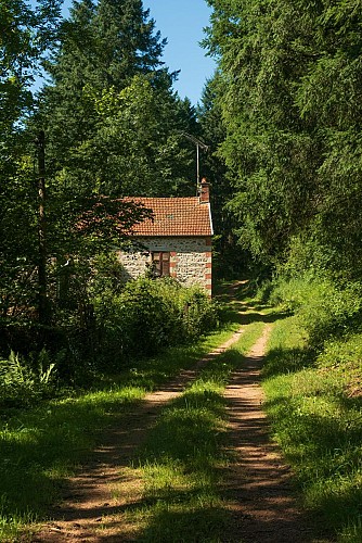 Le puy du Roc - PR n°23