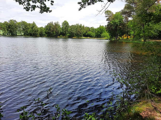 Randonnée - Étang du Chevalet_Charensat