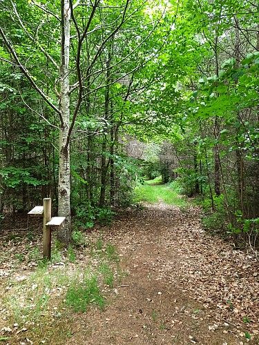 Randonnée - Étang du Chevalet_Charensat