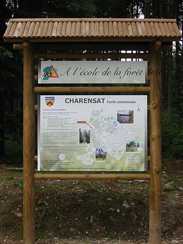 Rando Ecole de la Forêt