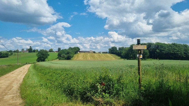 MTB-VTC circuit n°28 (red) - Grand tour de Mépillat - Terres fortes de Cormoz