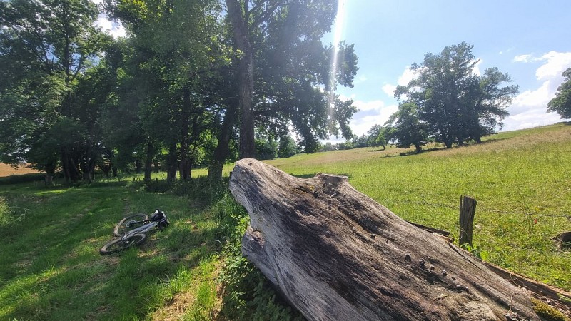 MTB-VTC circuit n°28 (red) - Grand tour de Mépillat - Terres fortes de Cormoz_Saint-Nizier-le-Bouchoux